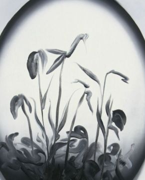 lukasz-patelczyk-flowers-2.jpg
